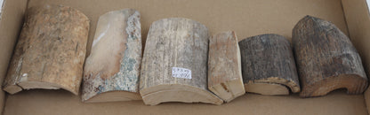 Raw mammoth ivory pieces