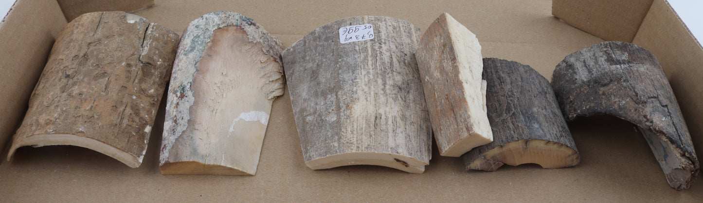 Raw mammoth ivory pieces