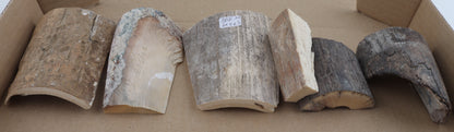 Raw mammoth ivory pieces