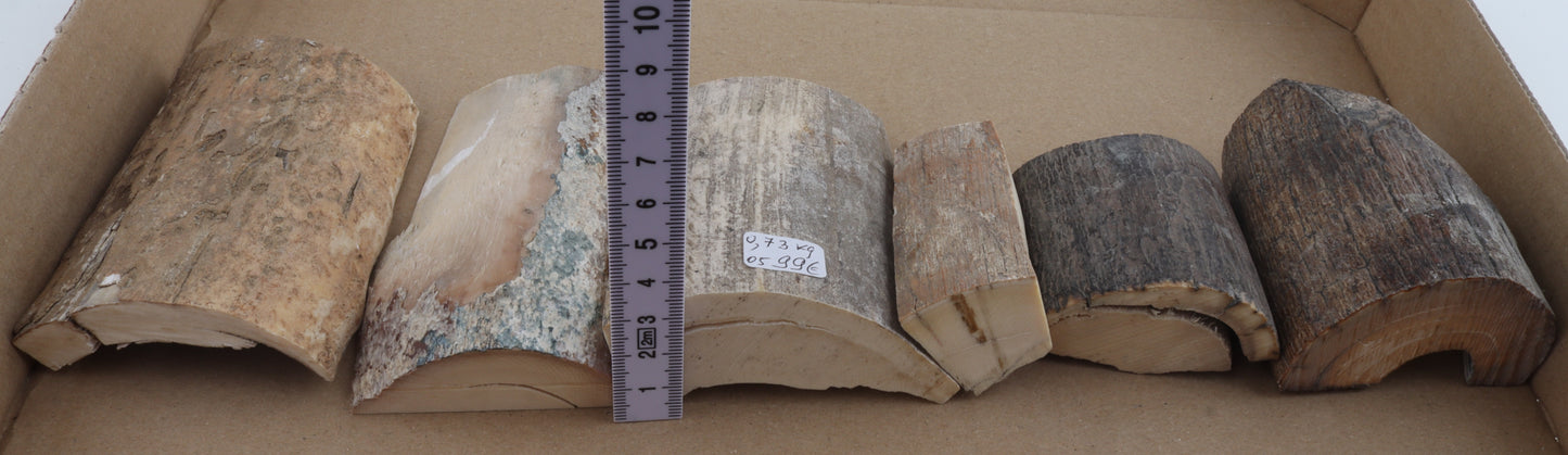 Raw mammoth ivory pieces