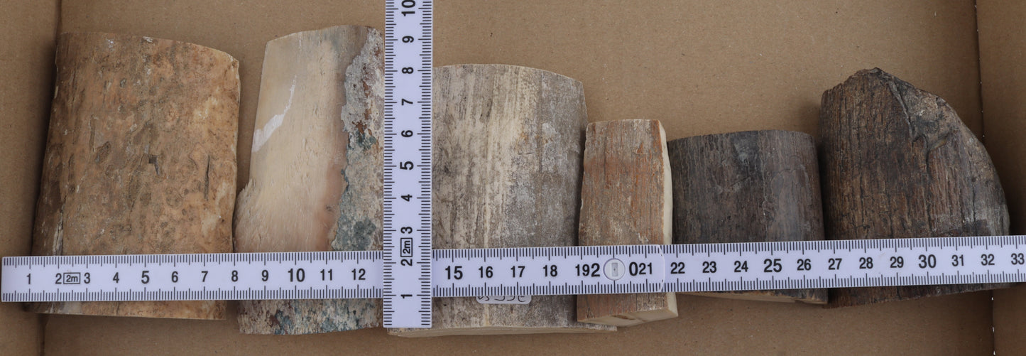 Raw mammoth ivory pieces