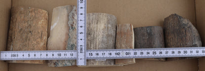 Raw mammoth ivory pieces
