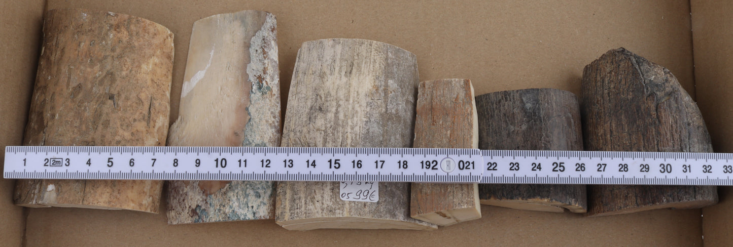 Raw mammoth ivory pieces