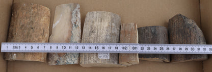Raw mammoth ivory pieces