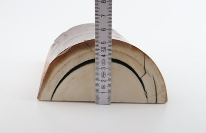 Natural mammoth ivory piece