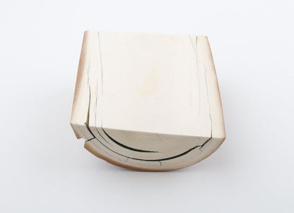 Natural mammoth ivory piece