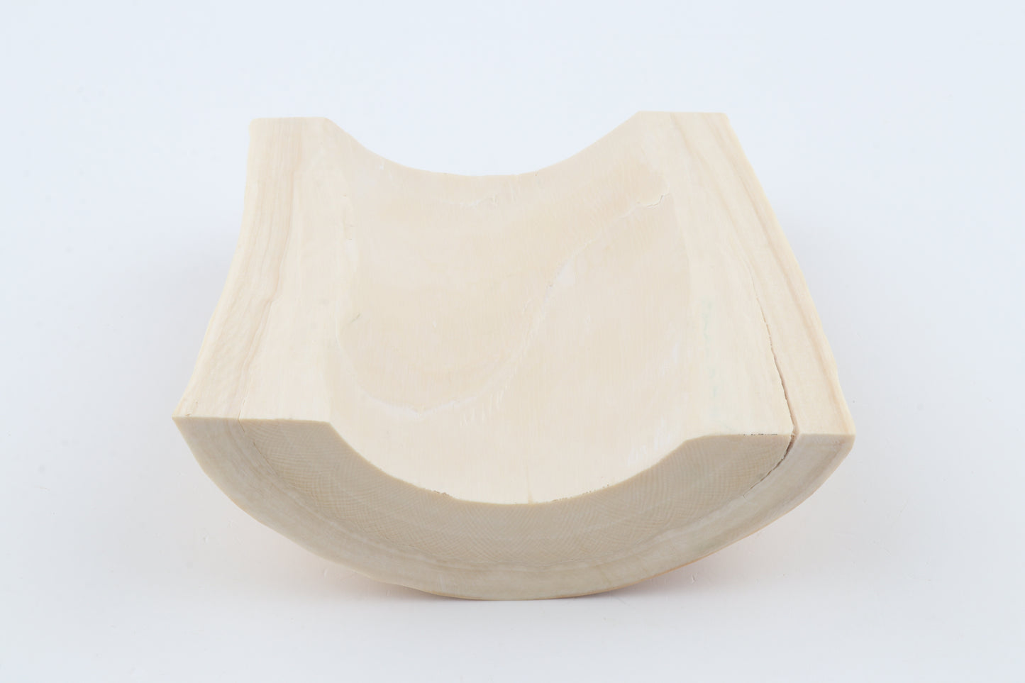 White mammoth ivory segment