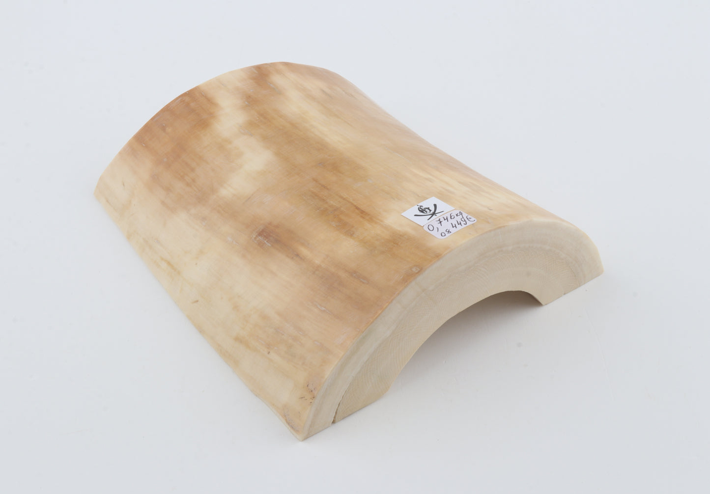 White mammoth ivory segment