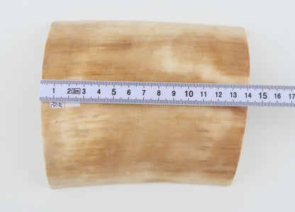 White mammoth ivory segment