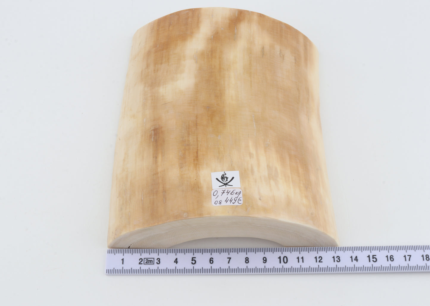 White mammoth ivory segment