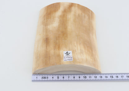 White mammoth ivory segment