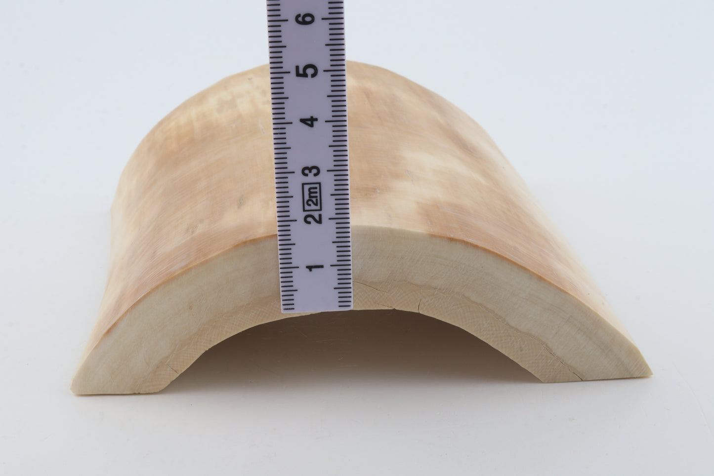 White mammoth ivory segment
