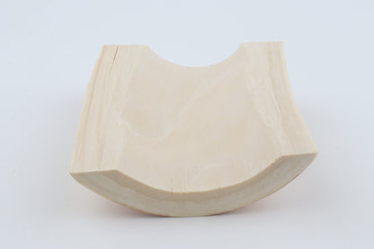 White mammoth ivory segment