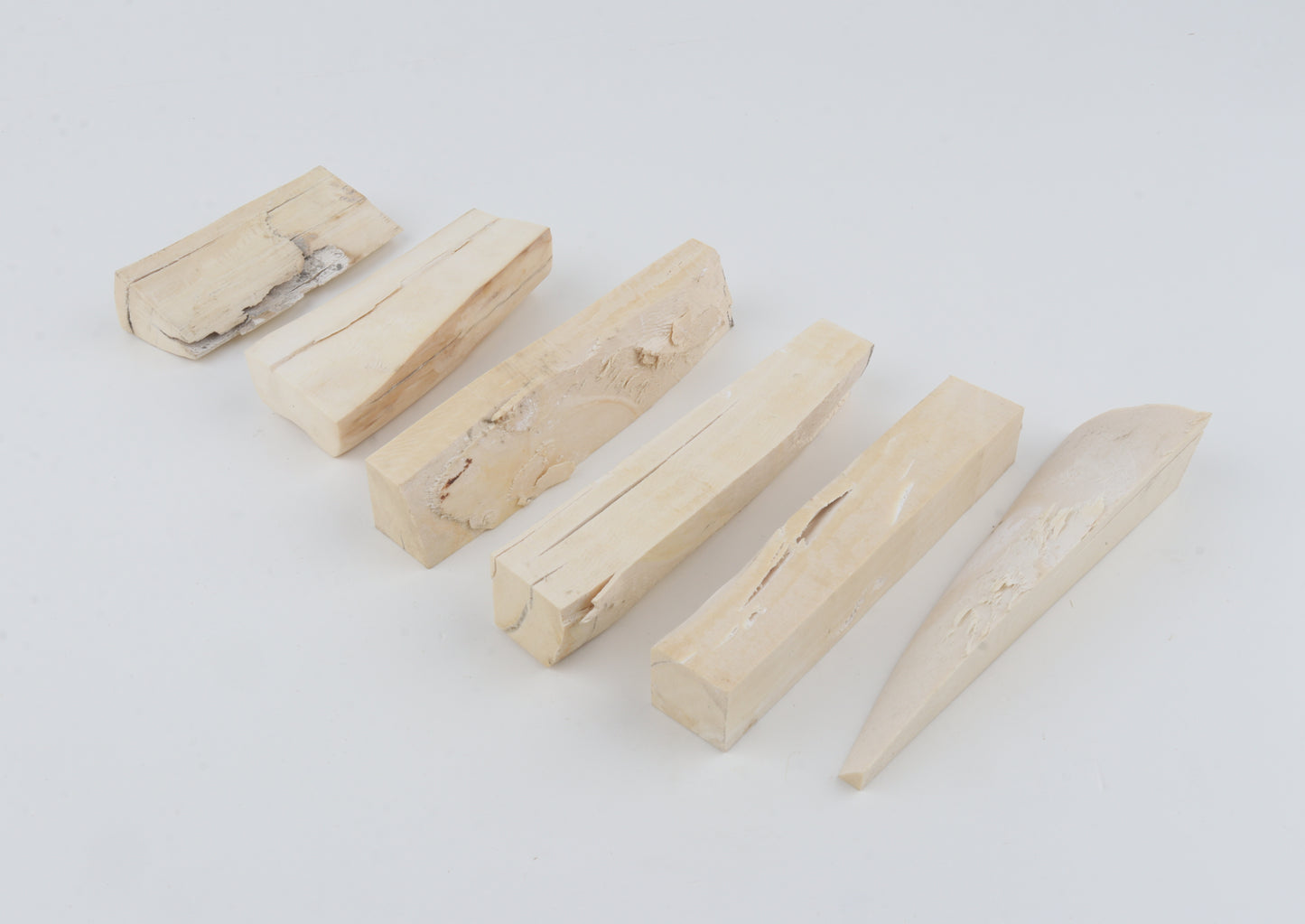 Untreated mammoth ivory pieces
