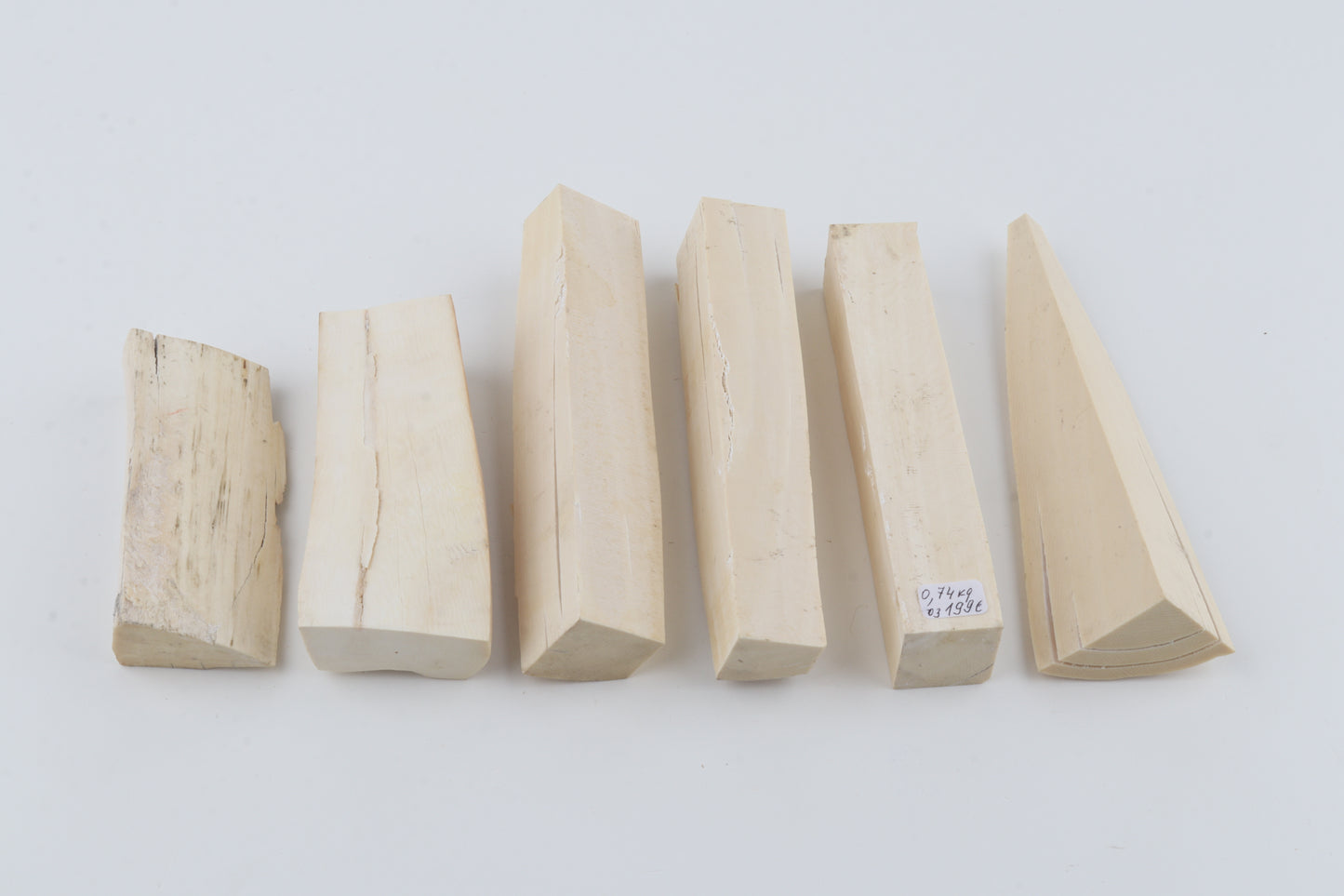 Untreated mammoth ivory pieces