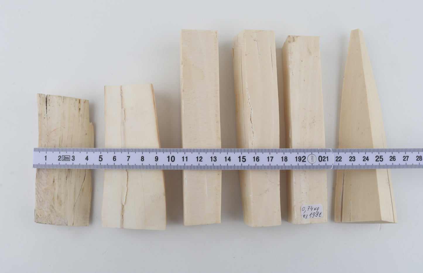 Untreated mammoth ivory pieces
