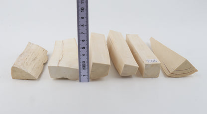 Untreated mammoth ivory pieces