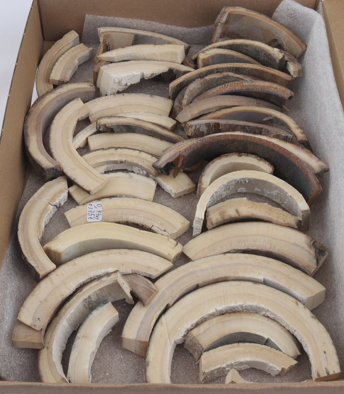 Raw mammoth ivory pieces