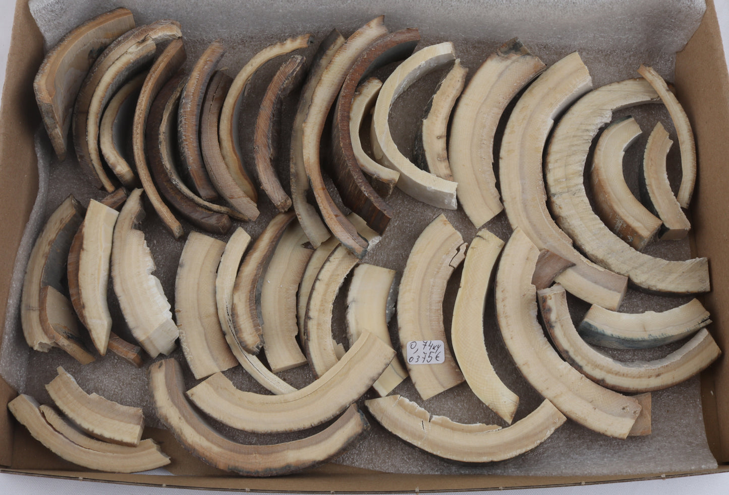Raw mammoth ivory pieces
