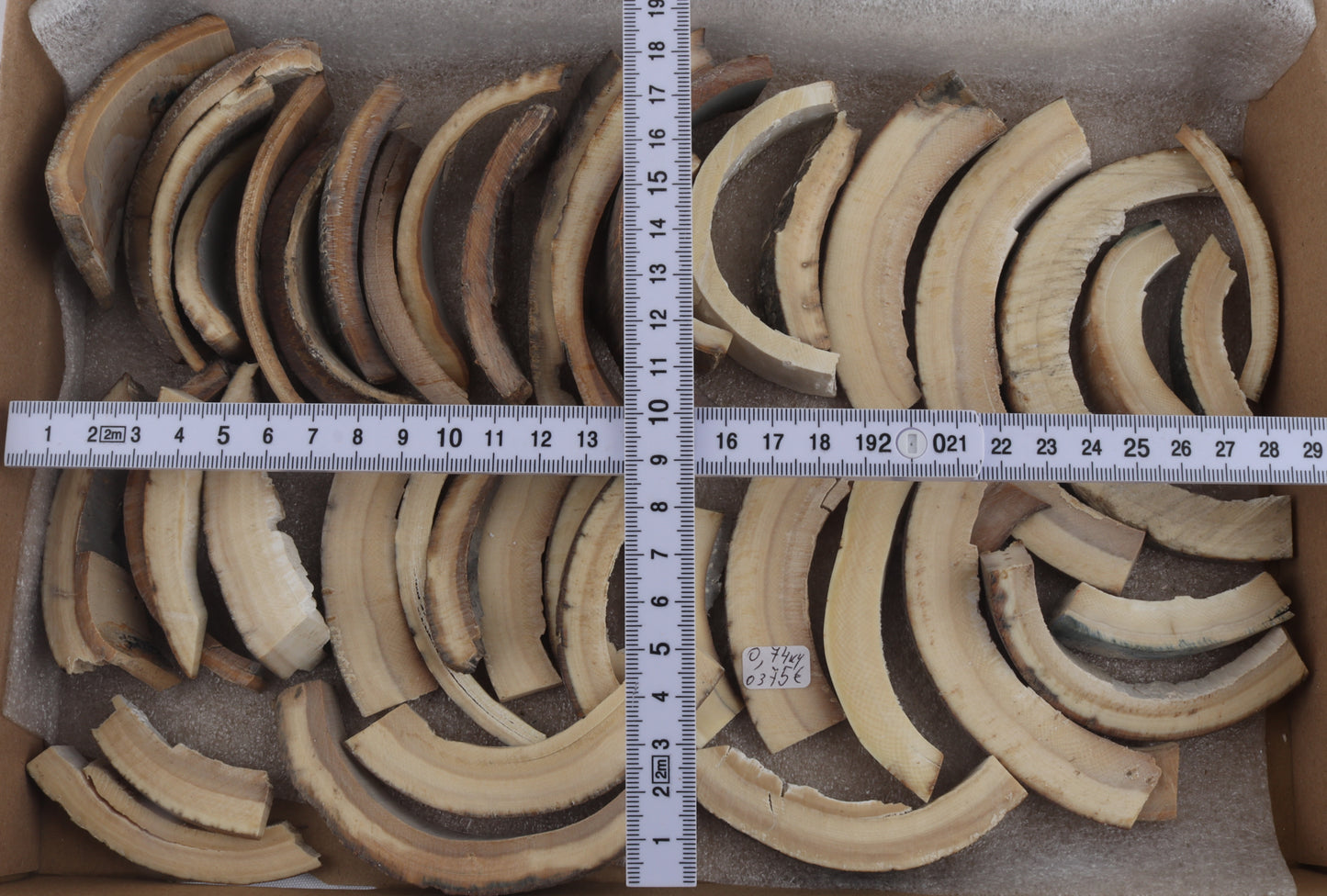 Raw mammoth ivory pieces