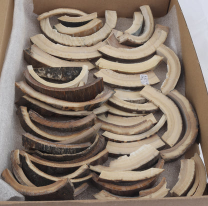 Raw mammoth ivory pieces