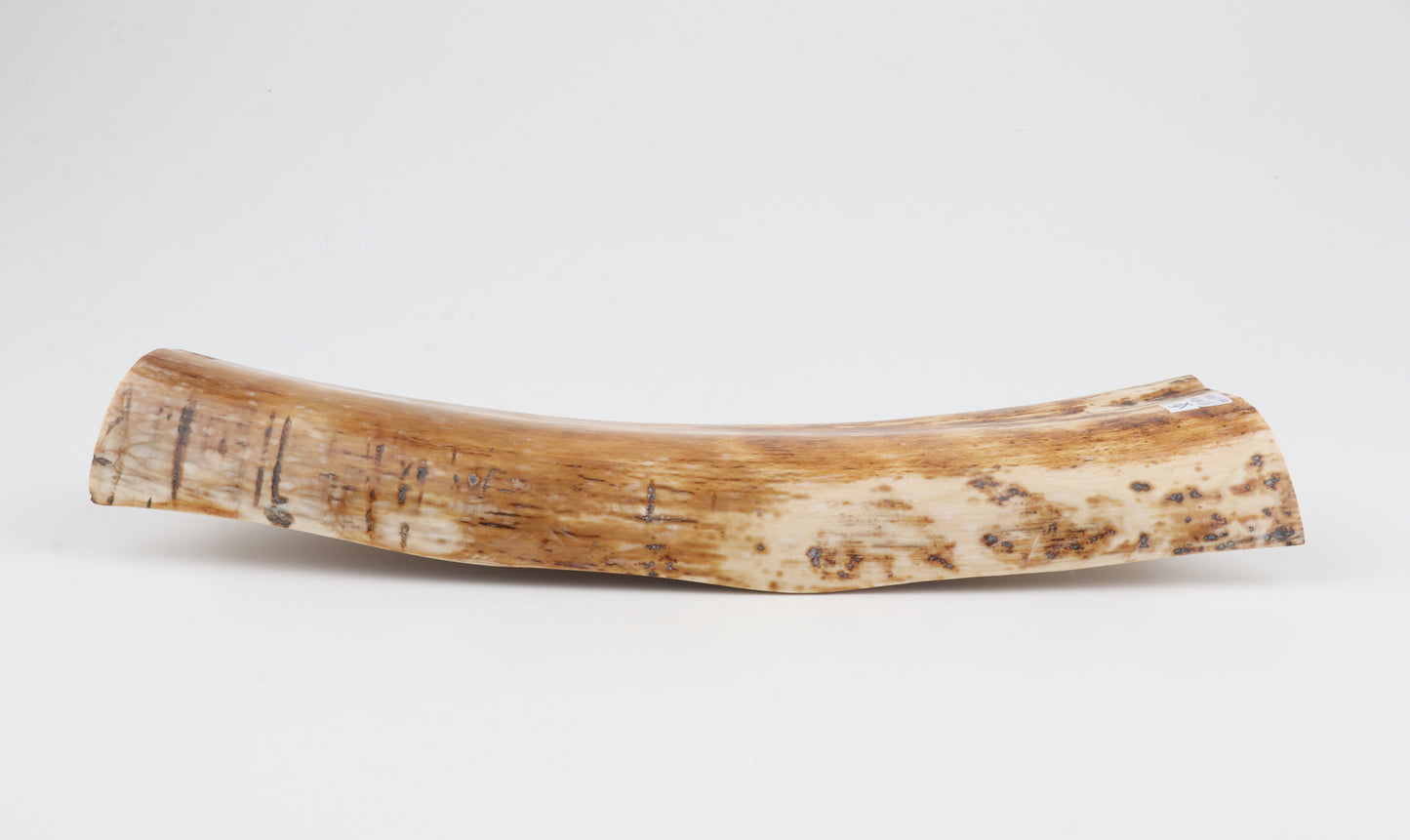 Caramel-creme mammoth bark