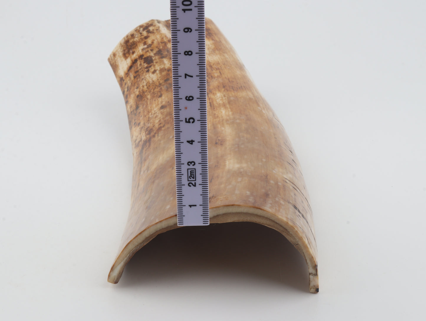 Caramel-creme mammoth bark