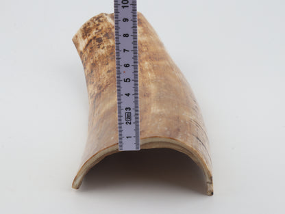 Caramel-creme mammoth bark