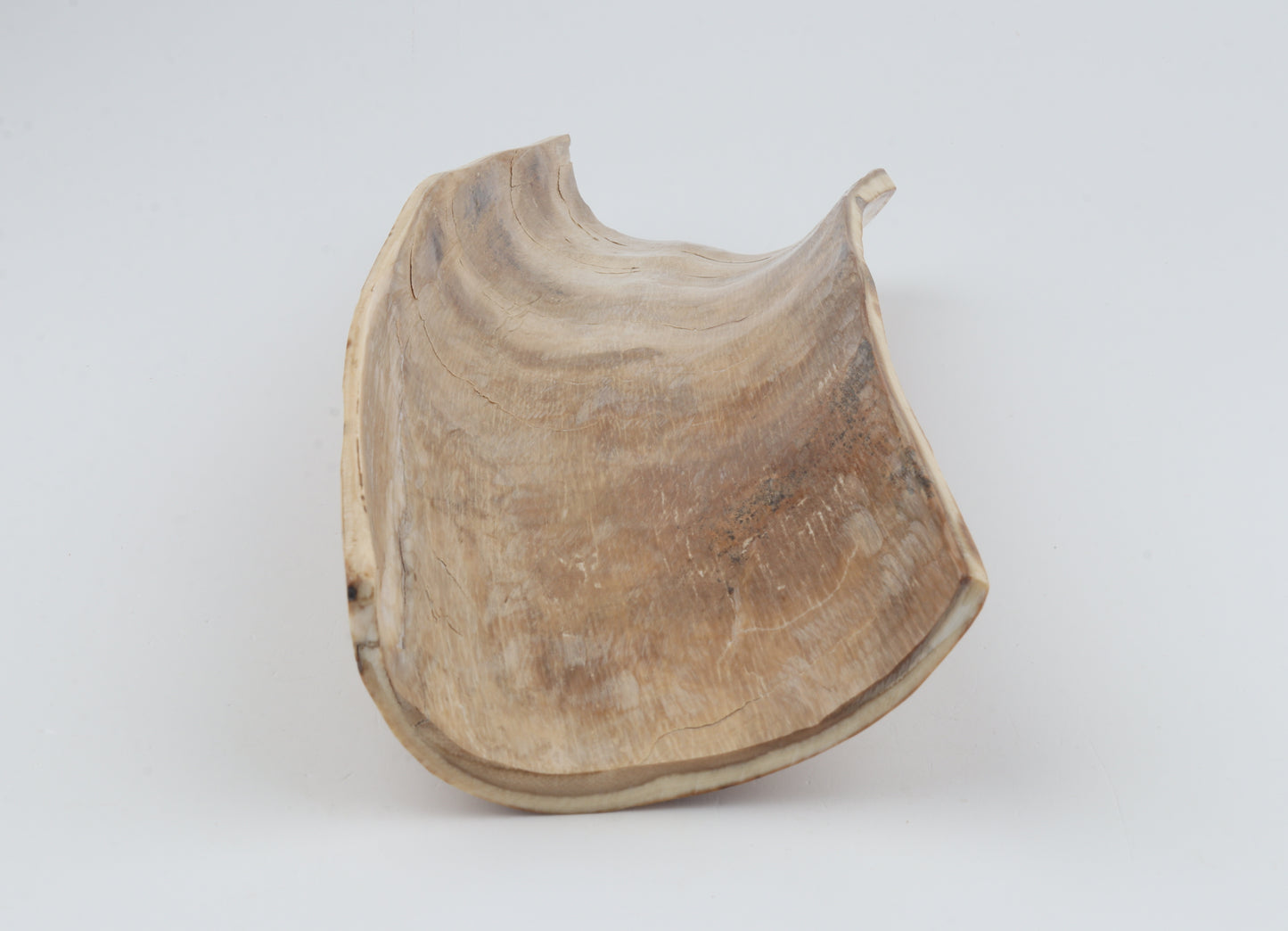 Caramel-creme mammoth bark