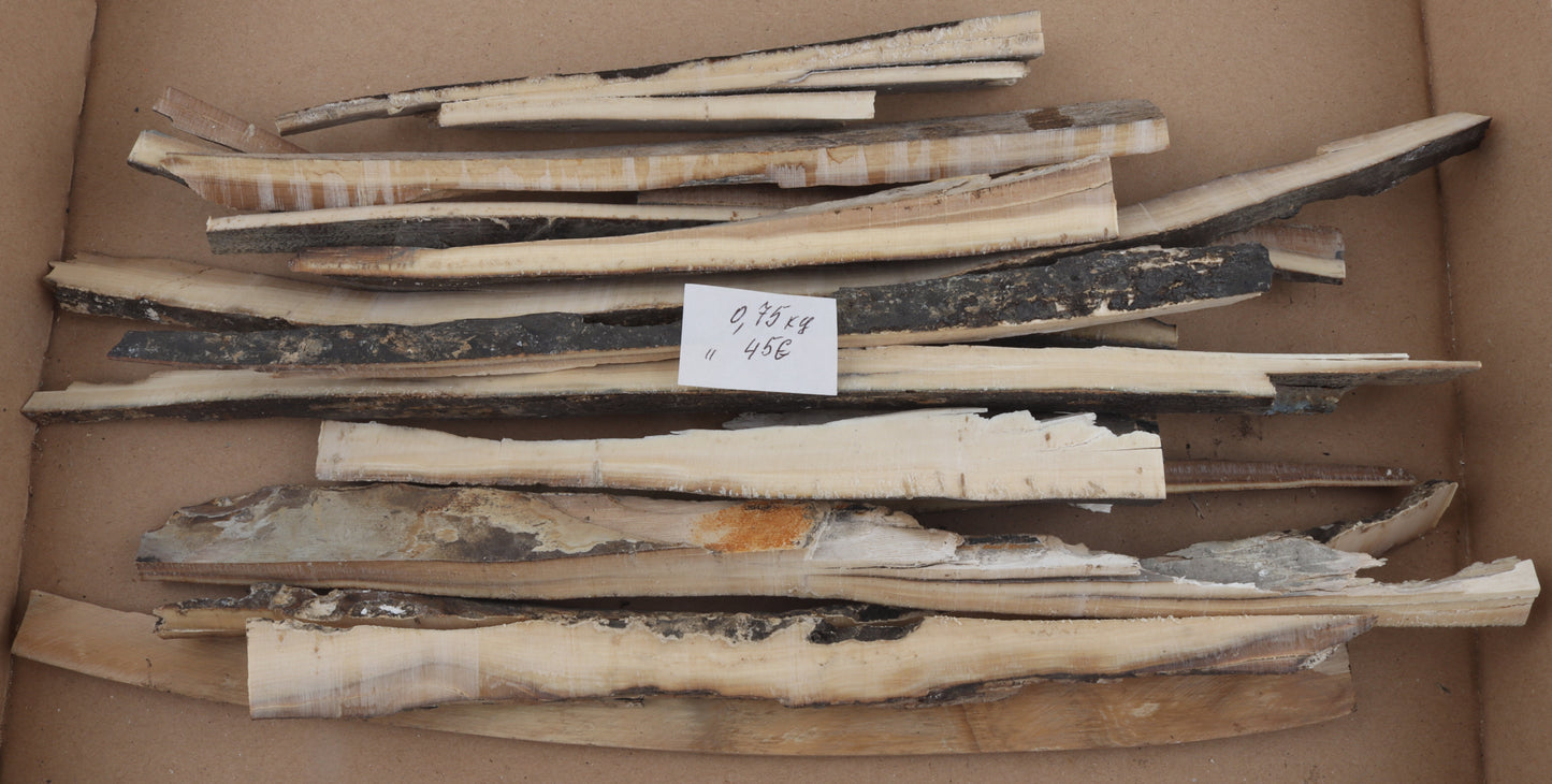 Raw mammoth ivory offcuts