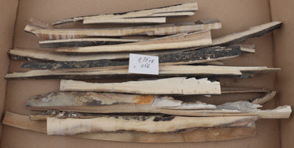 Raw mammoth ivory offcuts