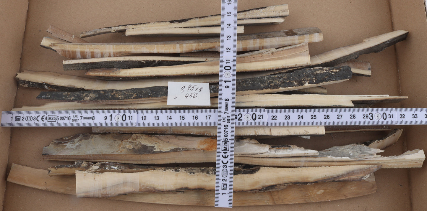 Raw mammoth ivory offcuts