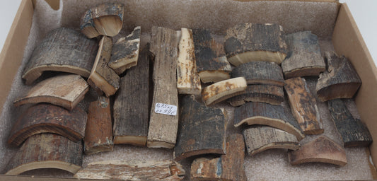 Raw mammoth bark pieces