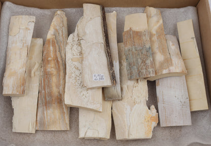 Raw mammoth ivory pieces