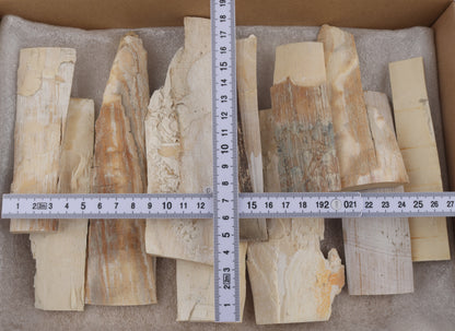 Raw mammoth ivory pieces