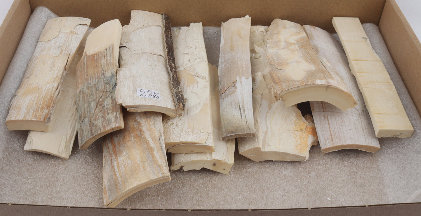 Raw mammoth ivory pieces
