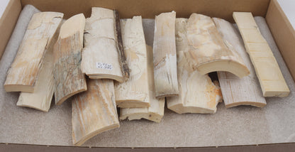Raw mammoth ivory pieces