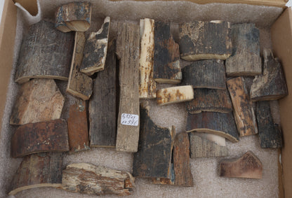 Raw mammoth bark pieces