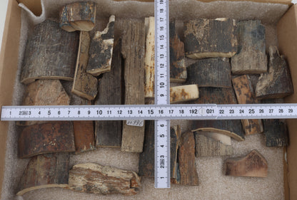 Raw mammoth bark pieces