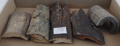 Untreated mammoth ivory pieces