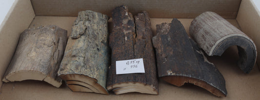 Untreated mammoth ivory pieces