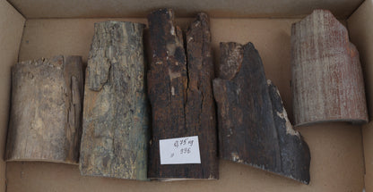 Untreated mammoth ivory pieces