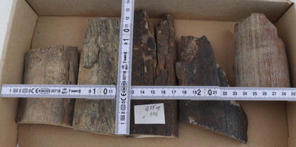 Untreated mammoth ivory pieces
