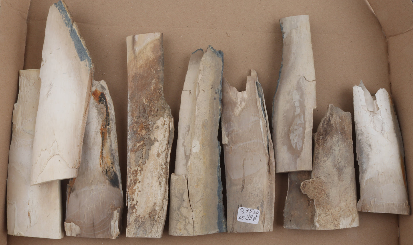 Raw mammoth ivory offcuts