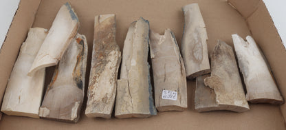 Raw mammoth ivory offcuts