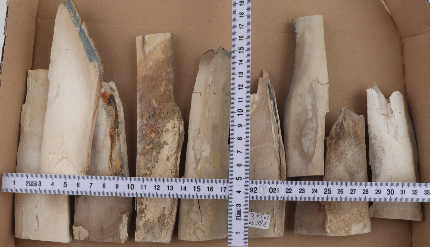 Raw mammoth ivory offcuts