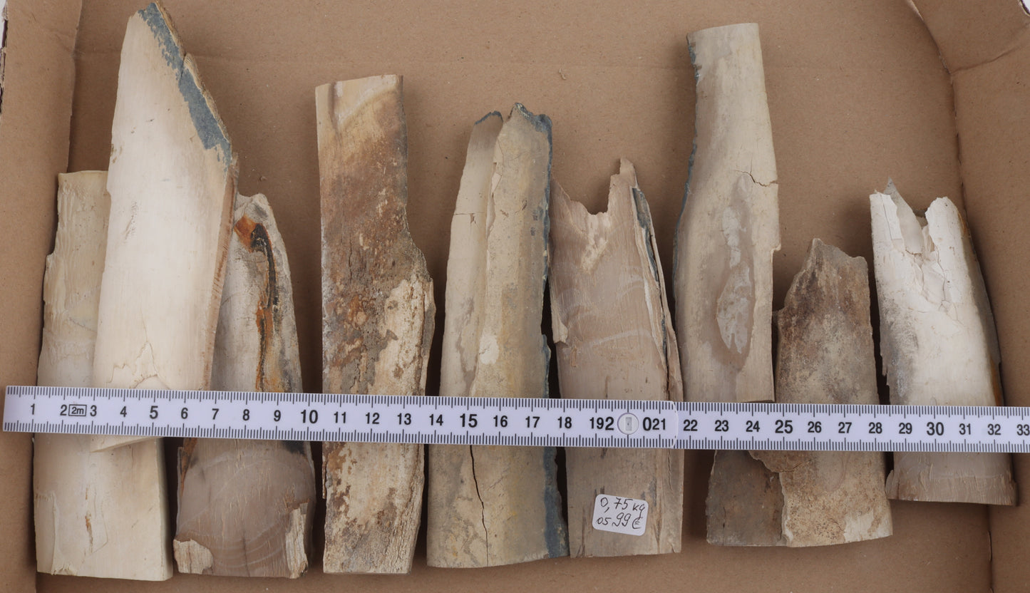 Raw mammoth ivory offcuts