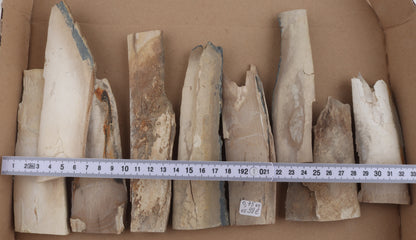 Raw mammoth ivory offcuts