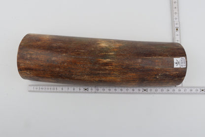 Natural woolly mammoth bark