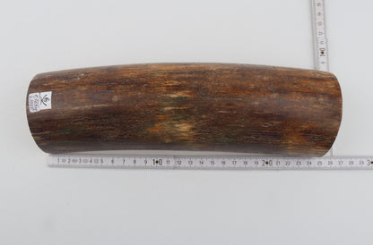 Natural woolly mammoth bark